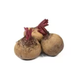 Beetroot