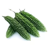 Bitter Gourd