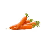Carrot