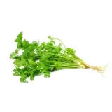 Coriander Leaves / Koththamalli