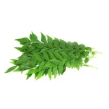 Curry Leaves / Karuveppilai